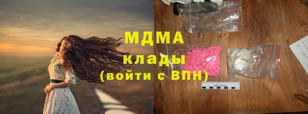 индика Алзамай