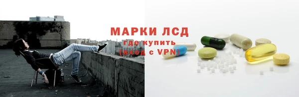 индика Алзамай