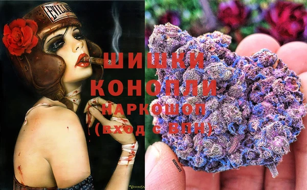 прущие грибы Алексеевка