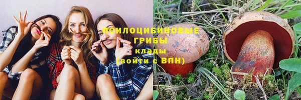 МДПВ Абаза