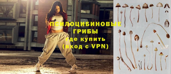ПСИЛОЦИБИНОВЫЕ ГРИБЫ Алексин