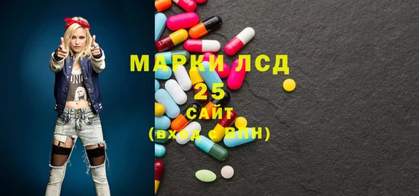 прущие грибы Алексеевка