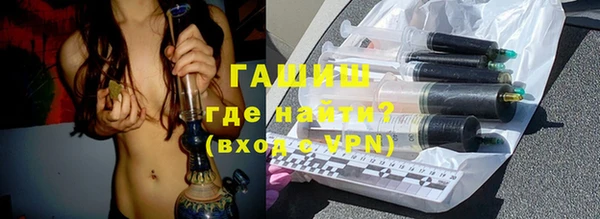 индика Алзамай