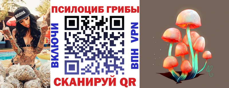 Галлюциногенные грибы GOLDEN TEACHER купить Нюрба